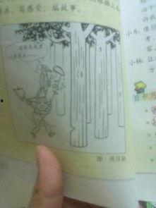 这段木头里一定有虫漫画作文,一段奇妙的虫木故事